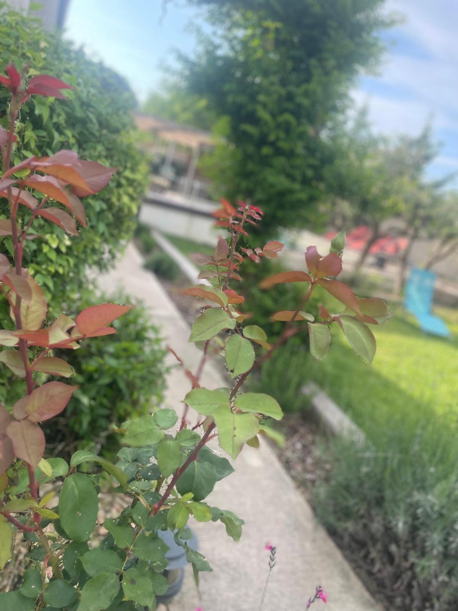 Villa Le Luberon Merindol Екстер'єр фото